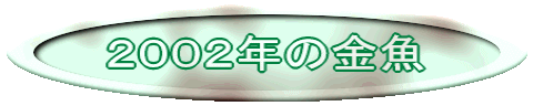 QOOQN̋